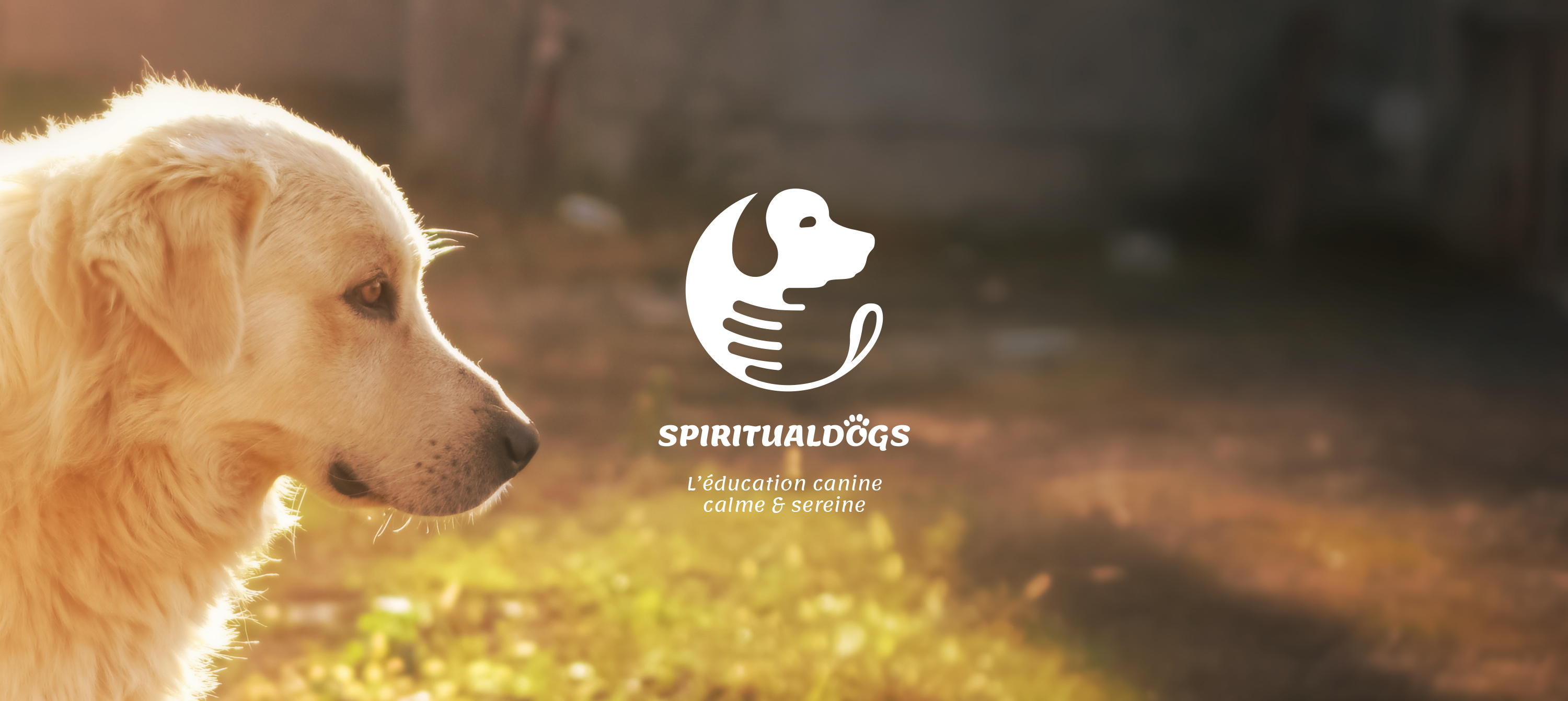 Spiritualdogs